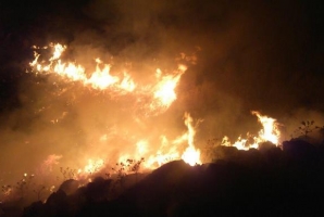 ادامه آتش سوزی های سریالی در گیلانغرب/ بیش از 5 هکتار از مراتع و جنگلها دچار حریق شد+تصاویر