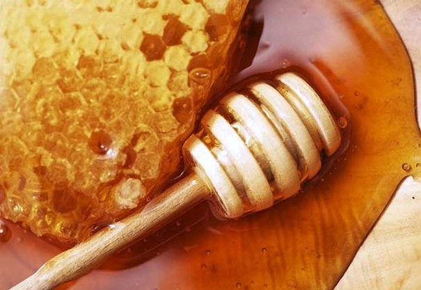 معجزه "عسل" در کم‌اثرکردن مضرات نانوذره‌ها