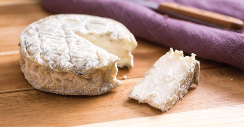 درباره فواید پنیر بز چه می‌دانید؟