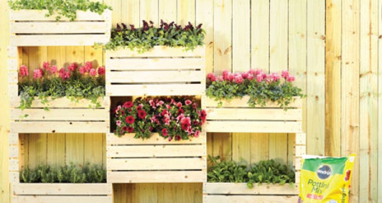 آموزش ساخت باغچه دیواری