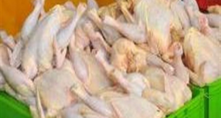 قیمت مرغ در ماه رمضان افزایش می‌یابد/قیمت مرغ به 8500 هم می رسد