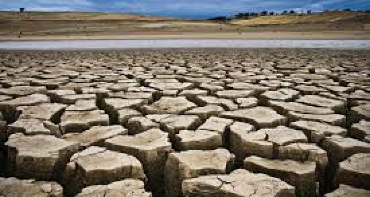 اختصاص 70 میلیارد ریال برای "احیا و تعادل بخشی دشت‌ها" در کرمانشاه