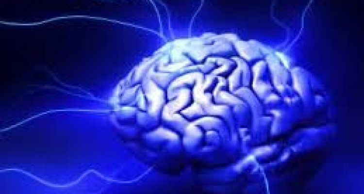  آدم‌هاي سمی را بشناسيد 