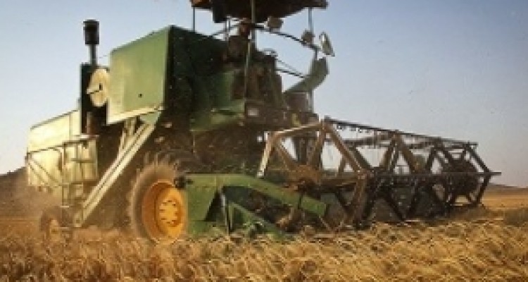 کاهش ۲۰ درصدی خرید گندم در استان کرمانشاه نسبت به سال گذشته 