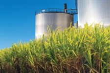 رییس سازمان گسترش و نوسازی صنایع ایران: برای پاسخگویی به اشتغال باید طرح‌های صنعتی جدید ایجاد کنیم