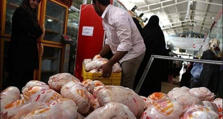 قیمت مرغ در بازار به ۵۵۰۰ تومان رسید