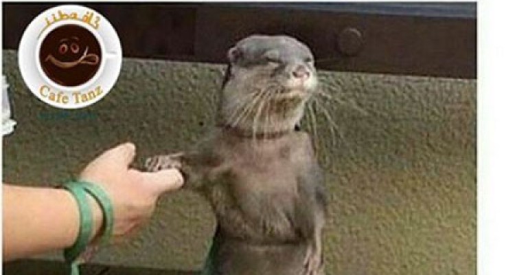  عکس های جالب و خنده دار اینستاگرام 