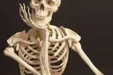  ۱۱ راهنمایی برای بهبود سلامت استخوان های شما 