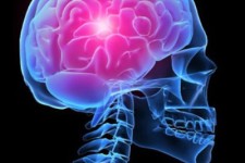  غذاهای دشمن مغز را بشناسید 