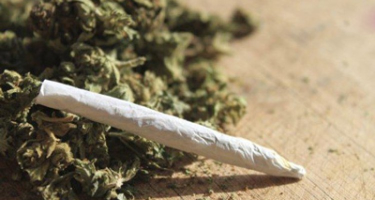  فاجعه ای جدید به نام حشیش مصنوعی! 