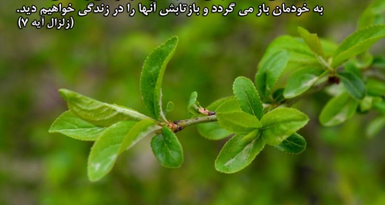 تمام اعمالی که انجام می دهیم، حتی اگر ذره ای و مثقالی باشد، به خودمان باز می گردد 