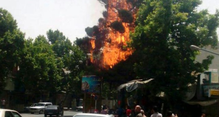 درختان میدان مرکزی شهر صحنه دچار آتش سوزی شدند + تصویر