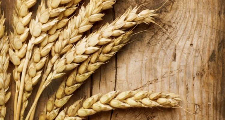 کاهش خطر مرگ زودهنگام با خوردن غلات کامل