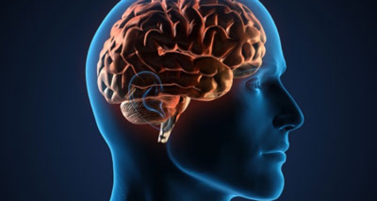 بعد از یادگیری مطالب جدید ورزش کنید