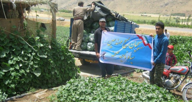 مهندسان بسیجی شهرستان صحنه از مزارع کشاورزی بخش دینور بازدید کردند   + تصویر