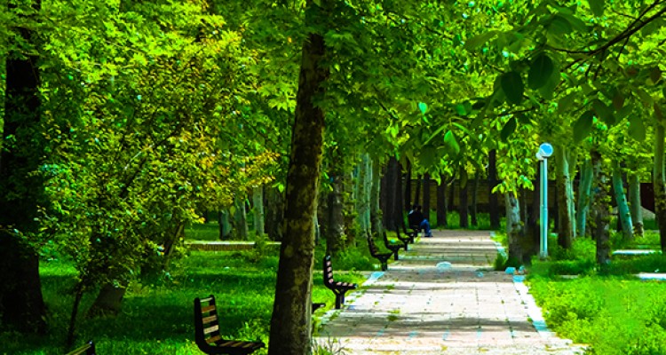 میزان بارندگی سال زراعی 95-94 در شهرستان صحنه برابربا 690.7 دهم میلیمتر می باشد  