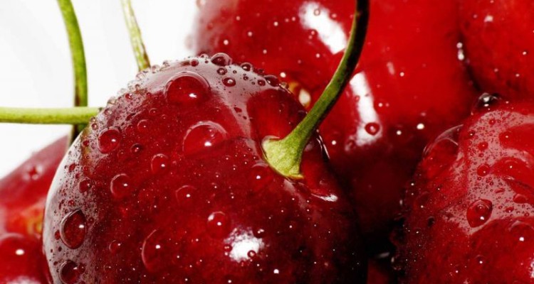 پیش بینی برداشت ۶ هزار تن گیلاس و آلبالو از باغات شهرستان صحنه