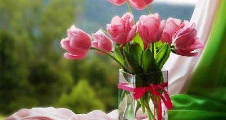 	روز از نو روزی از نو ! 