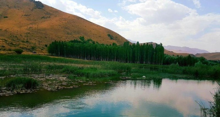  عکس های بسیار زیبا از طبیعت شهرستان صحنه