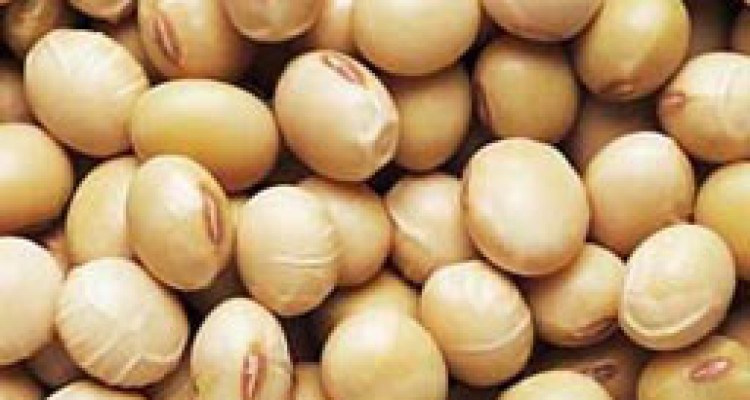 زنان برای مقابله با دیابت و بیماری قلبی سویا بخورند