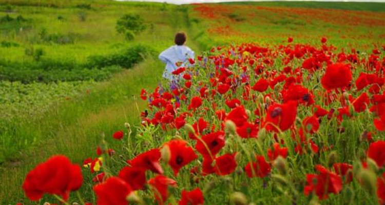 	برای غصه ها پایانی نیست 