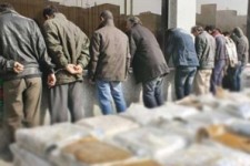 	۱۱ سوداگر مرگ در سنقروکلیایی دستگیر شدند 