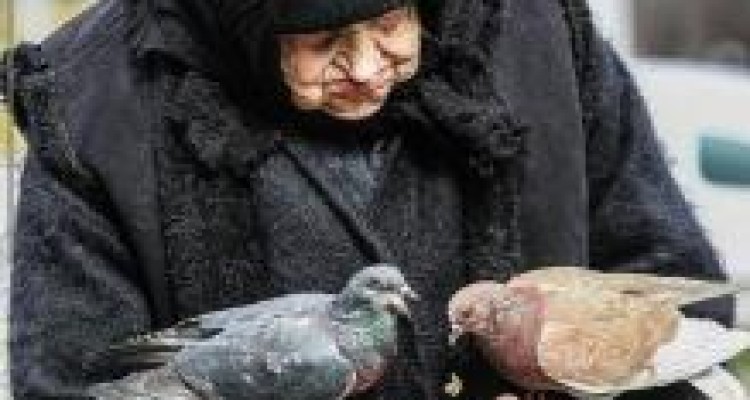 	کوچ پرنده ها را دوست ندارم 