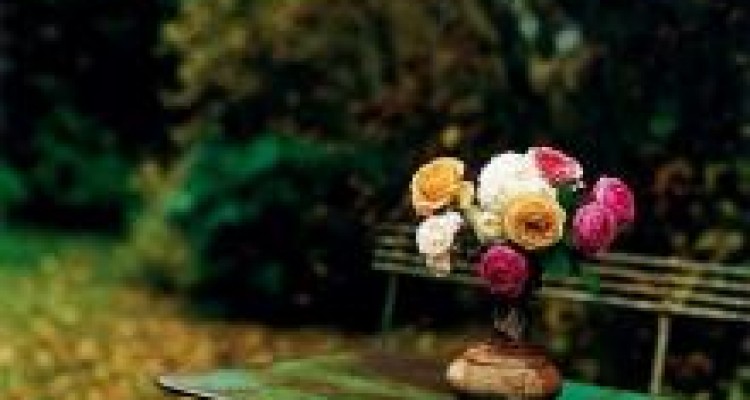 	احساس مشترک انسان های ساده 