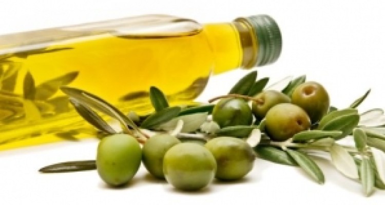 	آموزش نقش مهمی در موفقیت کارآفرینان جوان دارد/ برگزاری کلاسهای توجیهی و آموزشی تولید و فرآوری زیتون 