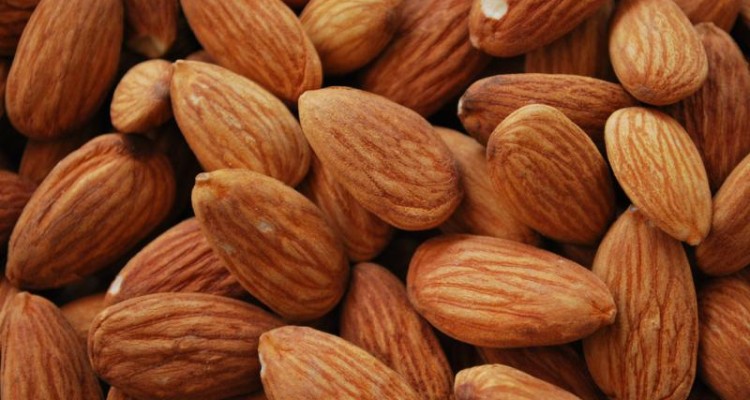  خواص بادام تلخ 