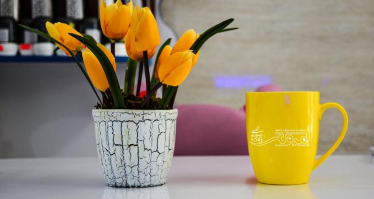 مرکز سلامت ایرنیان زمین ، محل تخصصی برای سلامت بهداشت دهان و دندان + تصویر
