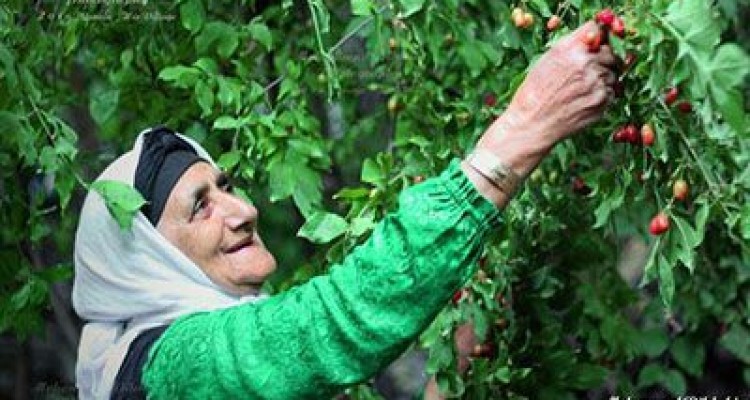  تصاویر زیبا و دیدنی از سراسر کشور ایران در شهریور ماه