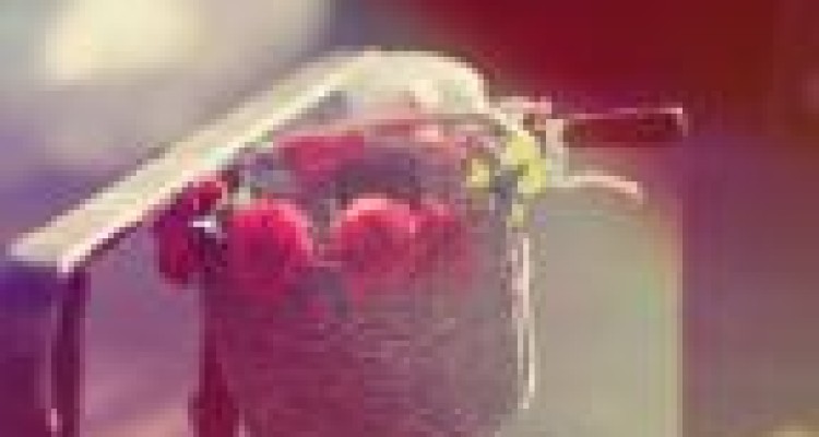	گاهی چقد بعضی چیزها خوب است 