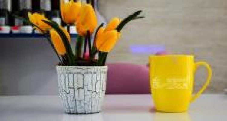 	مرکز سلامت ایرنیان زمین ، محل تخصصی برای سلامت بهداشت دهان و دندان + تصویر 