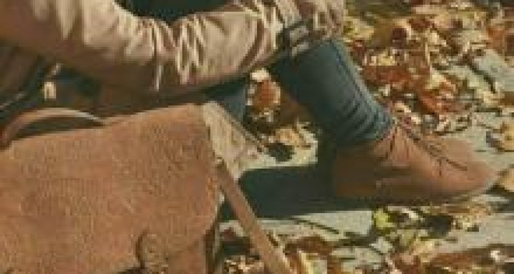 	وقتی آمدی بهار بود 