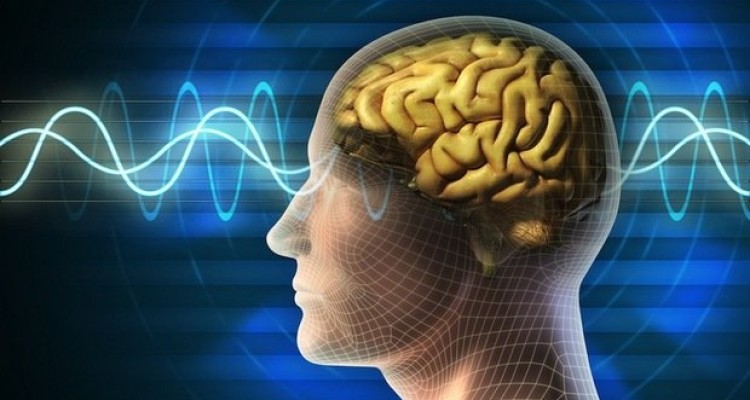 تاثیر مستقیم هورمون استرس بر ژن های مغز