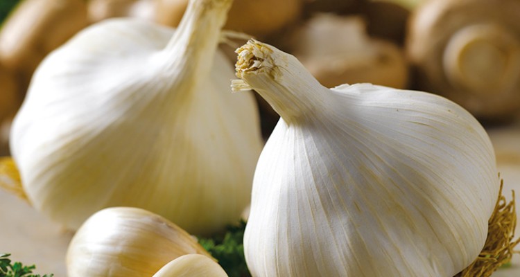  آنتی بیوتیک طبیعی شگفت انگیز 