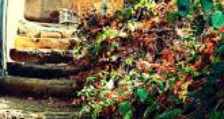 	گاهی آمدن ها خوبن 