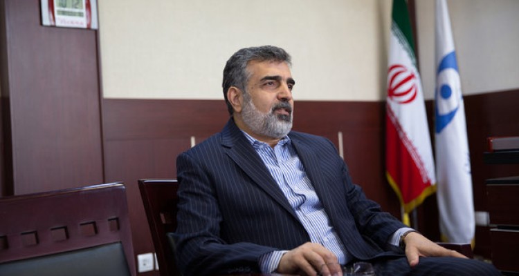 ایران در کوتاه مدت عضو طرح «ایتر» نمی‌شود