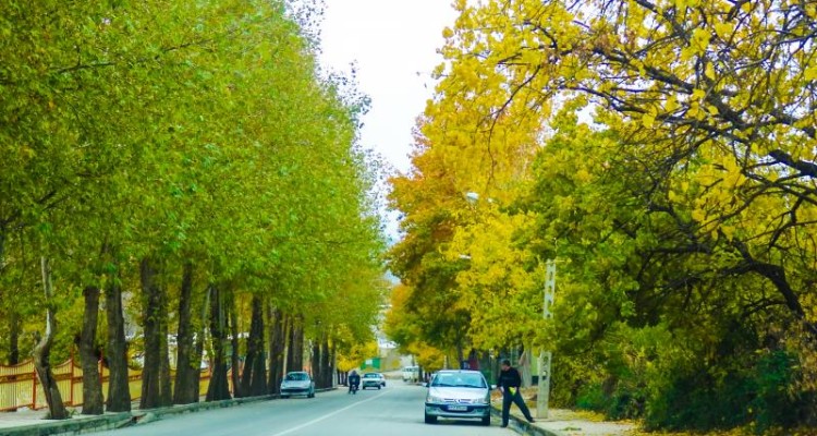بدون شرح