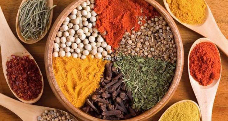 مصرف پروتئین گیاهی راهکار مبارزه با گرسنگی