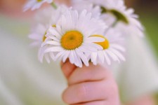  5 عاملی که می تواند شما را شاد و خوشحال کند 