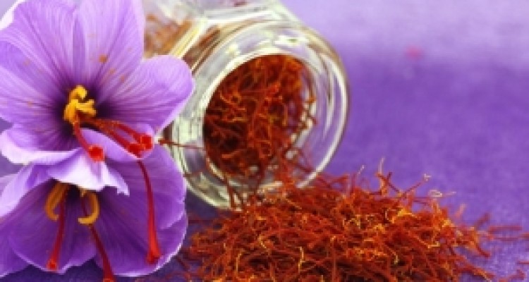  طلای سرخ با حمایت سپاه از زمین هرسین رویید/ کارآفرینی با طعم زعفران ایرانی 