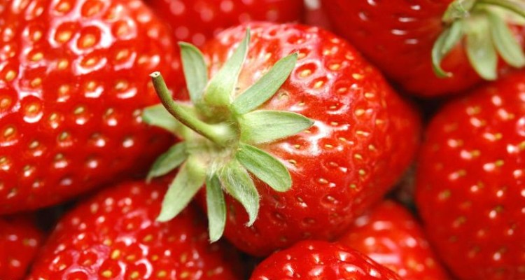  درباره واکس میوه چه می دانید؟