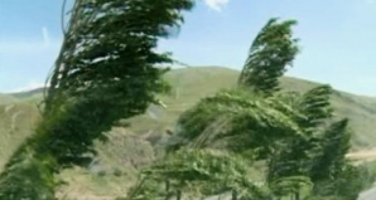  مدارس ابتدایی گیلانغرب به دلیل وزش تندباد تعطیل شد 