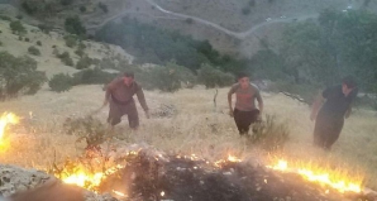	اینبارآتش سوزی جنگل‌های شاهو در فصل زمستان/آتش هنوز مهار نشده است 