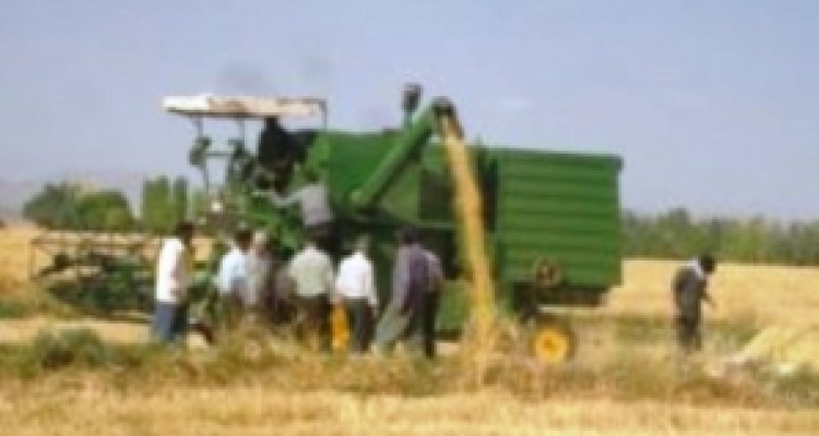  دستگاه کمباین پای کار گرگیلانغربی را بلیعد 