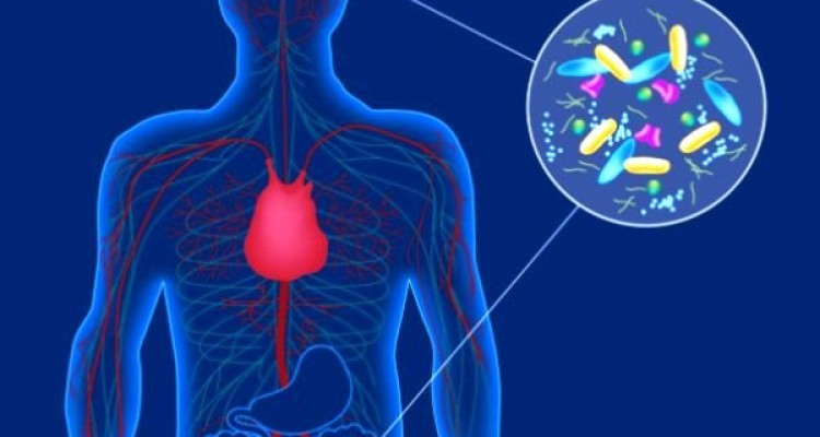 حل معمای ابتلا به پارکینسون در روده