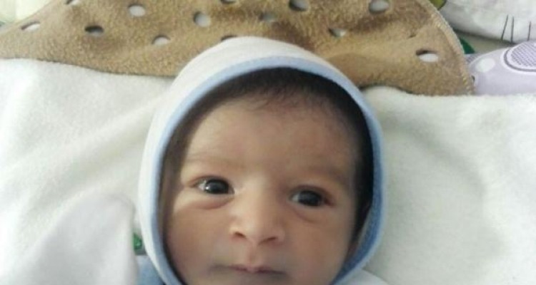 محمد آقا 