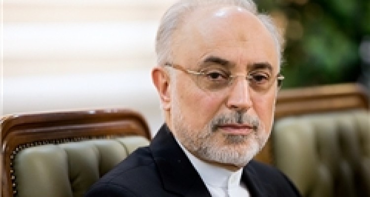 صالحی: برجام را نقض کنند واکنش ایران قاطع و شدید خواهد بود/ رفتار آمریکا نامعقول است